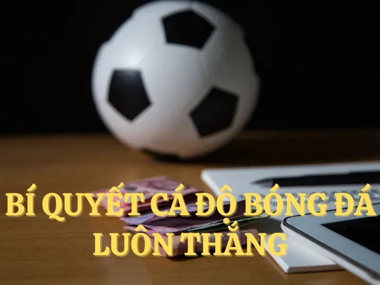 Tìm Hiểu Cá Cược Bóng Đá AE888: Hành Trình Đầy Hấp Dẫn